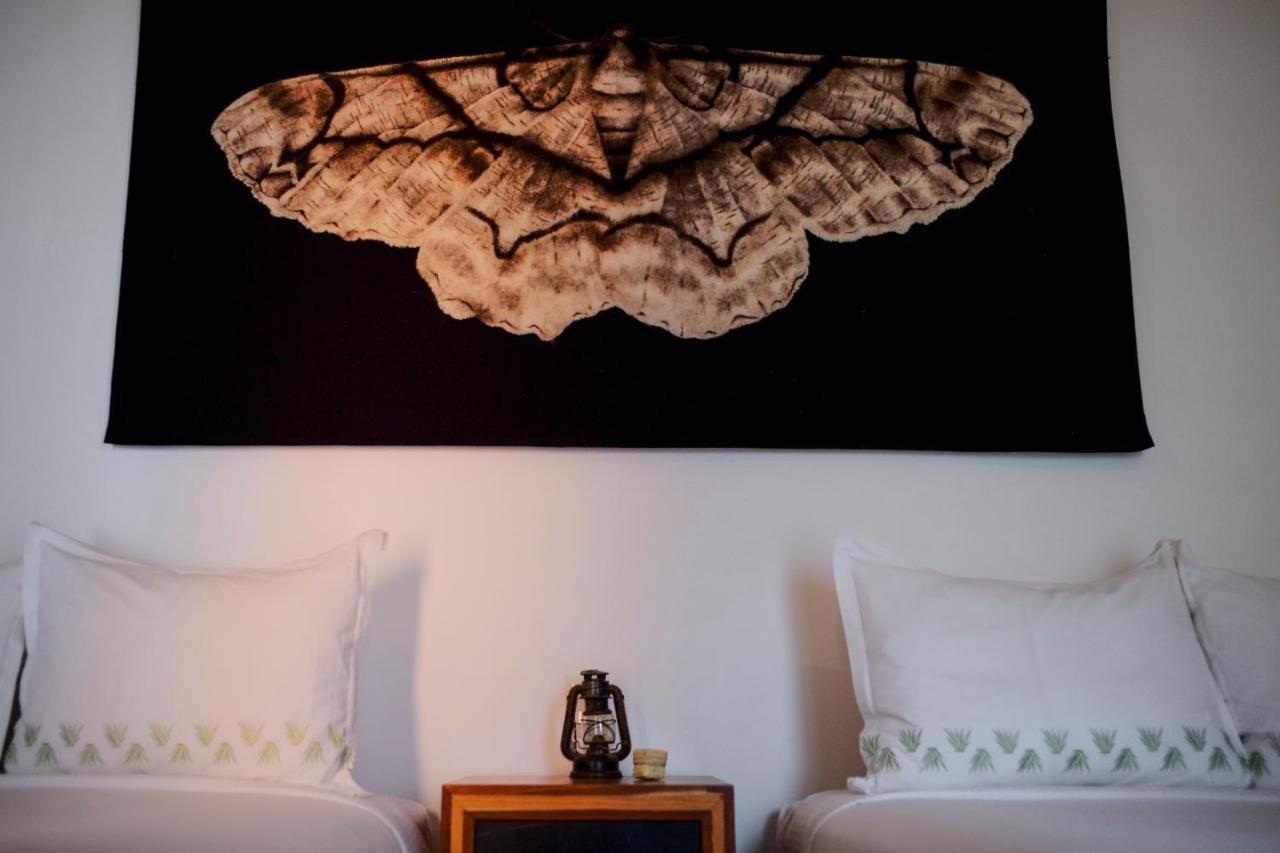 Hotel Los Amantes Oaxaca 外观 照片